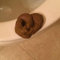 Rosojodg Broma Caca Juguete Caca Caca Artículos de broma Novedad Caca Artículos de broma Divertida Broma Falsa Turd para el Día de los Inocentes La Gran Diversión Para Cualquier Ocasión Artículos De