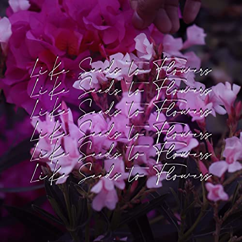 Like Seeds To Flowers