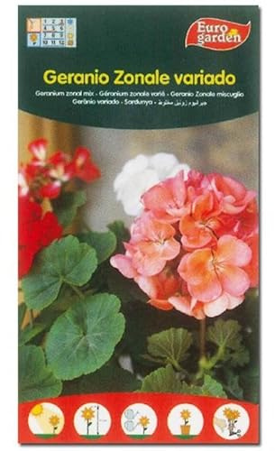 Semillas fito flores geranio zonale variado 00619 (caja 10 unidades)