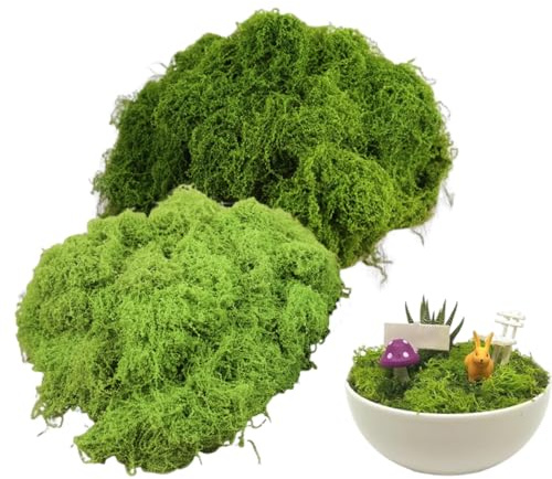 CATZUM 60g di muschio artificiale per decorazioni e fai da te, decorativo imitato, muschio stabilizzato e lichene stabilizzato per presepe e giardini eterni (30g verde scuro + 30g verde chiaro)