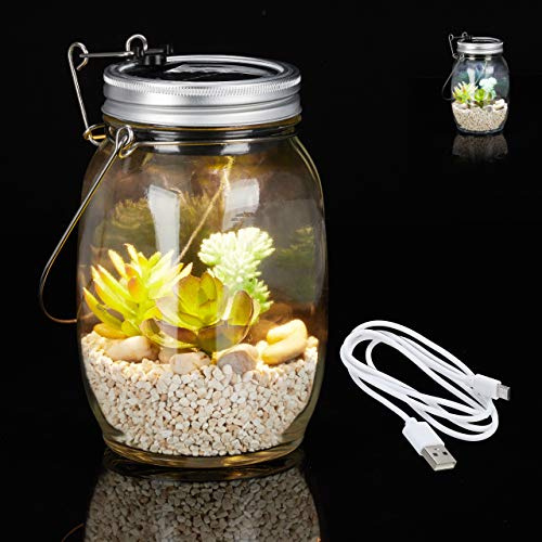 Relaxdays Solarlampe Glas, Solarleuchte 8 LEDs, Warm-& Kaltweiß, USB-Kabel, Solarglas Innen & Außen, transparent, 1 Stück