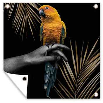 MuchoWow Outdoor-Poster Poster Wanddeko draußen Deko Garten Gartenposter 100x100 cm Vogel - Papagei - Hand - Farn