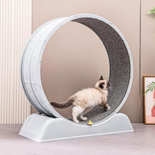 Rueda de ejercicio para gatos ShkitAelling, rueda de 80 cm para gatos domésticos, con mecanismo de bloqueo y suave revestimiento interior para correr, entrenar y entretener