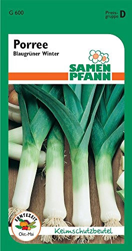 Samen Pfann G600 Porree inverno blu-verde (semi di porro)