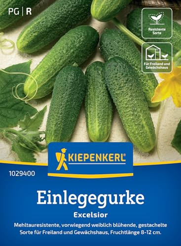 Kiepenkerl Einlegegurkensamen Excelsior 1029400, Gemüsesaat | Gestachelte Früchte, eingelegte Gurken, Gemüsesamen für Freiland & Gewächshaus, Wuchshöhe bis zu 200 cm, aromatisch