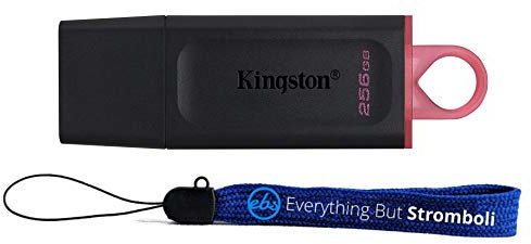 Kingston 256GB Flash Drive DataTraveler Exodia USB 3.2 High Speed 100MB/s USB for Computer (DTX/256GB) Bundle with 1 Everything But Stromboli Lanyard