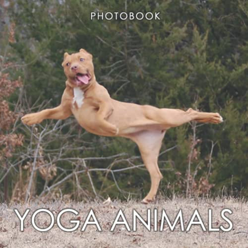 Yoga Animals Photobook: Adorable Picrures Of Yoga Animals For Everyone