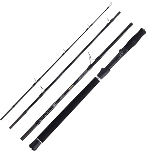 Balzer Valhall Xtreme Spin 50-220g Travel 2.20m - Spinnrute, Angelrute zum Meeresangeln, Meeresrute