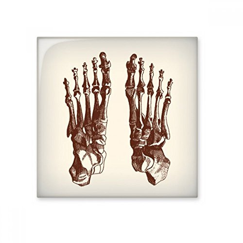 DIYthinker Del cuerpo humano hueso del pie del bosquejo brillante baldosa cerámica de baño Cocina muro de piedra artesanal de regalo Decoración