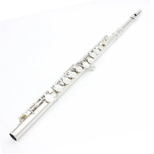 Flöte Für Anfänger Anfänger Und Erwachsene 16 Geschlossene Offene Löcher C-Flöte Versilbertes Kupfernickel-Flöteninstrument Transversal Mit E-Taste(Silver)