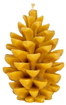 BeesWax World Handgefertigte Bienenwachskerzen Natürliche dekorative Kerzen aus 100% Bienenwachs mit Baumwolldocht Nachhaltig & liebevoll gestaltet (Tannenzapfenkerze – Höhe: 145 mm (naturbelassen))