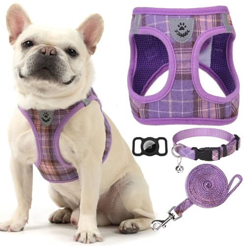 EXPAWLORER Step-in Small Dog Harness Airtag Collar and Lead Set | No Pull Dog Harness Soft Mesh Puppy Vest, Reflective Escapeproof Lightweight for Outdoor Walking, Purple M