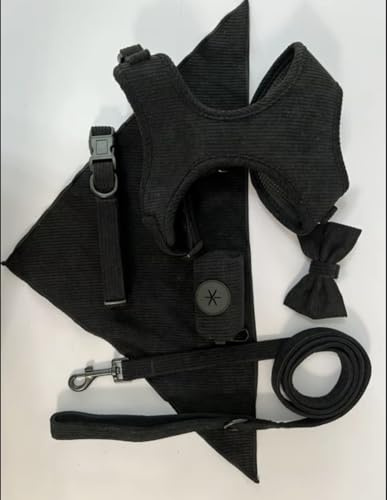 Generisch Hundegeschirr Set S aus Cord – 6-teilig Schwarz – Ultra-Bequem & Verstellbar – Inkl. Leine, Halsband, Bandana, Fliege & Kotbeutelspender – Soft-Geschirr für kleine Hunde & Welpen