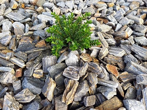 Decorative Gneiss Stone Bark, 16-32mm, Grey Landscaping Gravel for Gardens, Outdoor Aggregate (20kg x 1)