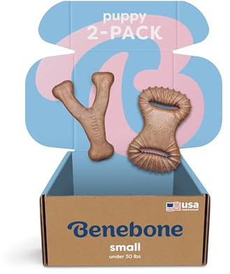 Benebone Puppy 2-Pack Dental Chew/Wishbone Real Bacon Small