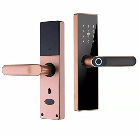 Cerradura de puerta inteligente, Cerradura electrónica Tuya Cerradura de puerta inteligente Cerradura de huella digital Contraseña Tarjeta IC Clave Carga USB for hogar inteligente(22x195 R)