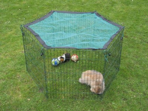 Nobby 81085 Freilauf 6 Gitter 60 x 63 cm