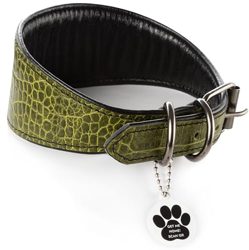 FAVPET Luxus Echtleder Windhund Halsband Breit mit QR Code Anhänger, Weiches Lederhalsband Hund Breit Whippet Italienisches Windspiel Saluki Lurcher Spanischer Galgo Greyhound Podenco (Grün, M)