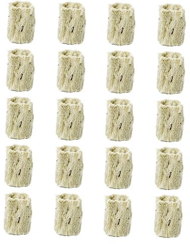 Kisangel 40 Pezzi per Coltivazione per Giardinaggio Trapianto Facile e Alto Tasso