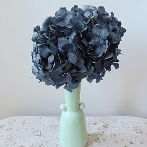 Vrai Hortensia stabilisé Gris Anthracite Noir Naturel et préservé Gros Hortensia GrandeTaille 25 cm de Diamètre- Véritable Fleurs Naturelle séchée et préservée - Bouquet éternel (Anthracite)