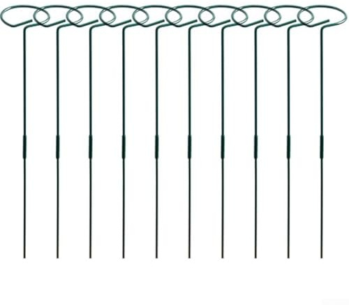 Pflanzenstützstäbe, 76,2 cm, ausziehbare Stahl-Pflanzstäbe für Innen- und Außenbereich, Gartenblumen mit Clips und Bändern, kompatibel mit Rosen, Tomaten und Lilien, 10 Stück