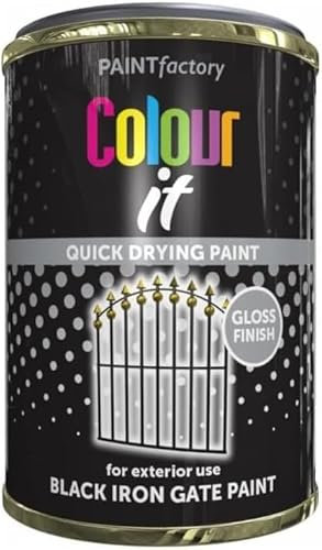 MIXEL Black Iron Gate Tin Paint, Quick-Drying Formula, DIY Enthusiasts, Long-Lasting, Easy-To-Apply, Ideal for Gates, Fences, Railings, Interior And Exterior Use, 300ml, (1 Pcs)