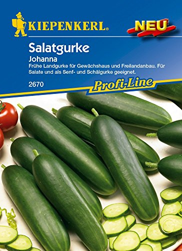 Kiepenkerl Profi-Line Salatgurkensamen Johanna 2670 - Frühe Landgurke für Gewächshaus und Freilandanbau - Gemüsesamen, Saatgut, Gemüse Pflanzen, Gurke
