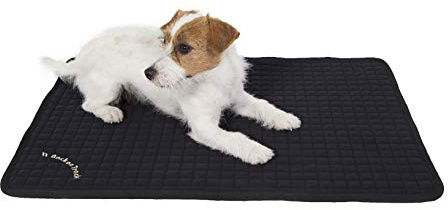 BoT Hundematratze Allround schw. 55x38cm