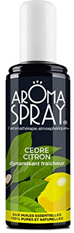 Aroma Spray – Raumspray / Aromatherapie, Duftnote: Eukalyptus & Minze, mit ätherischen Ölen, 100% rein und natürlich, 100 ml