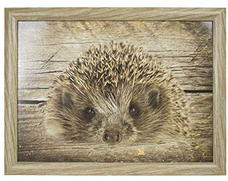 Mars & More - Knietablett - Laptopkissen - Kissentablett - Motiv: Igel - 43x33x7cm
