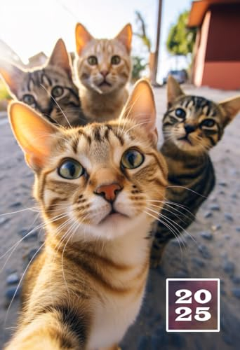 2025: A6 Wochentaschenkalender | 1 Woche auf 2 Seiten Terminplaner | Buchkalender im Mini Format | Weekly Planner Kalender | Jahresplaner Kalenderbuch ... | Agenda Planer Klein & Kompakt | Katzen