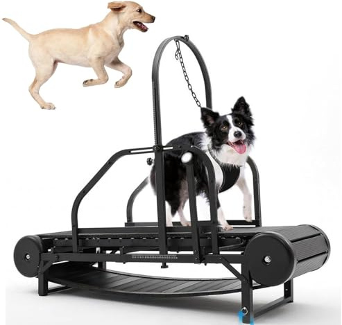 Dog Treadmill for Large and Medium Dogs, Adjustable Ramp Slatmill Machine with Pedometer for Exercise and Health, Supports Pets Up to 300LBS
