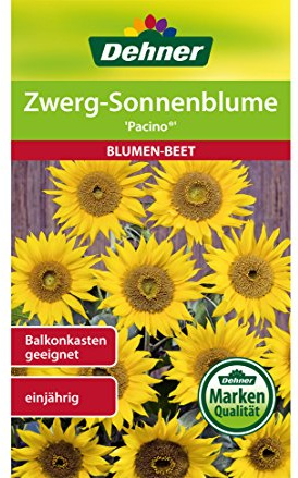 Dehner Blumen-Saatgut, Zwerg-Sonnenblume Pacino, 5er Pack (5 x 2 g)
