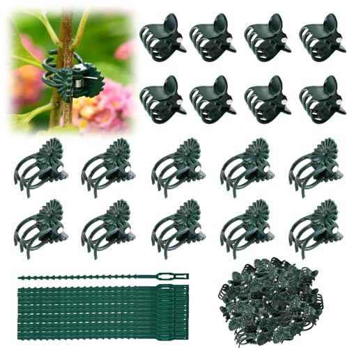 AYSYR 230 Stück Pflanzenclips,Wiederverwendbare Pflanzenklammern für Orchideen,Con 30 Verstellbare Pflanzenbinder,Verstellbarer Pflanzenclip Leicht zu Handhaben,Tützclip für Pflanzenstängel(Grün)