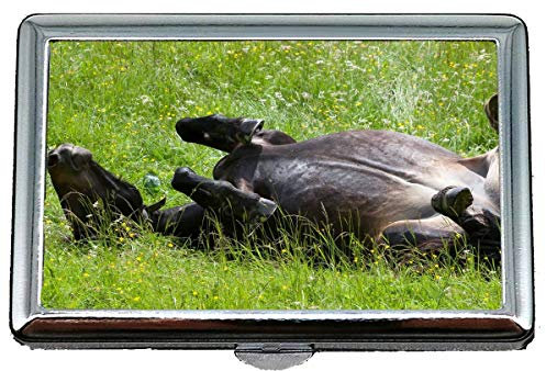 Business Name Kartenhalter, Snow Leopard Leopard Business Kreditkarteninhaber