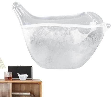 Prédicteur Météo En Verre De Tempête, Bouteille En Verre De Baromètre De Station Météo, Station De Prévisions Météorologiques Pour La Décoration De Bureau À Domicile