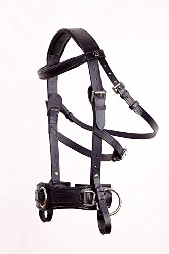 Crownclub Kappzaum Royal Comfort Pony