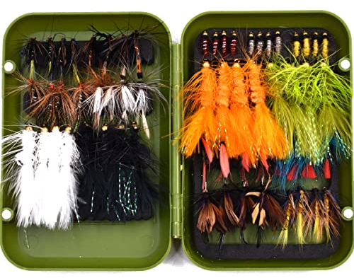 32/40/60/68pcs Fischen Fliegen Set Trockene nasse Fliegen Nymphen, Streamer, Wolle Bugger, Terrestrials, Insekt Lure Se (B-Verschiedene Fliegen in Green Box-60Pcs)