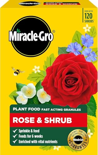 Miracle-Gro Rose & Shrub Plant Food 900g / 3kg Slow Release Fertiliser for Roses, Shrubs & Flowering Plants | Feeds Up to 6 Months | Granular Formula for Garden Use (3kg)
