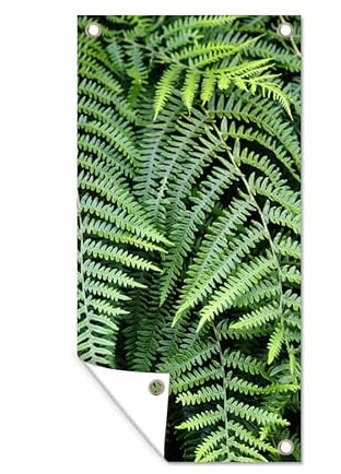 MuchoWow Outdoor-Poster Poster Wanddeko draußen Deko Garten Gartenposter 80x160 cm Grüne Farne