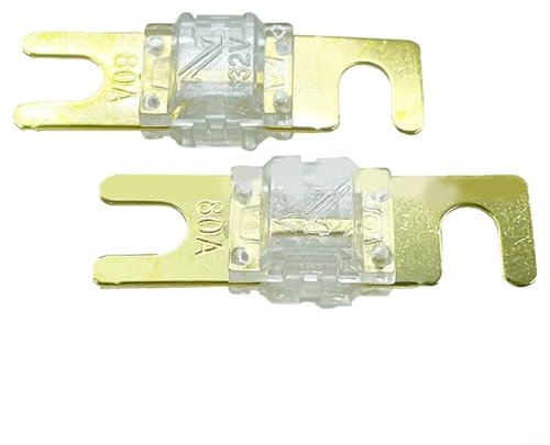 HOHOVYVY autosicherungen，kfz sicherungen mini，Mini-Sicherungen，16 Stück DC 32V Sicherung Lautsprecher 20A 30A 40A Sicherung