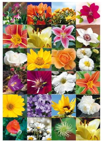 HERMA 3077 Aufkleber Blumen klein groß, 72 Stück, Pflanzen Sticker mit Blume Motiv, Kinder Etiketten für Fotoalbum Tagebuch Poesiealbum Scrapbooking Geburtstag Dekoration Briefe DIY Basteln