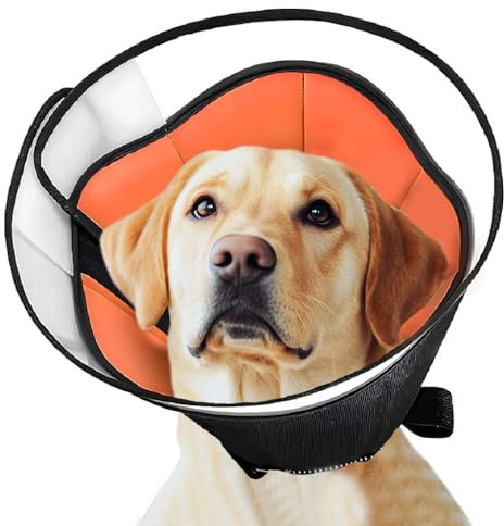 KDXYSL Halskrause Hund Weich, Schutzkragen Leckschutz Hund, Atmungsaktive Hunde Halskrause, Einstellbarer Hundekragen Leckschutz, Leicht Halskrausen für Hunde, L