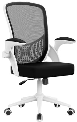 naspaluro Ergonomischer Bürostuhl, Schreibtischstuhl mit 90° Klappbaren Armlehnen, Einzigartige Lendenwirbelstütze, Atmungsaktive Mesh-Polsterung für das Heimbüro, Studie, Schwarz und Weiß