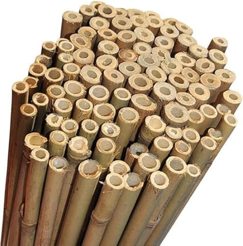 PriceKingX Natural Bamboo Canes-2FT-3FT-4FT-5FT-6FT Heavy Duty Bamboo Canes- Long Sticks Plant Support- Garden canes Professional Thick Out/Indoor- Canes/Stake/Pole (20x, 6 FT)
