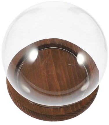 Ciieeo Campana De Transparente con Base De Madera para De Plantas Suculentas De Flores Preservadas Decoración De Hogar para Manualidades