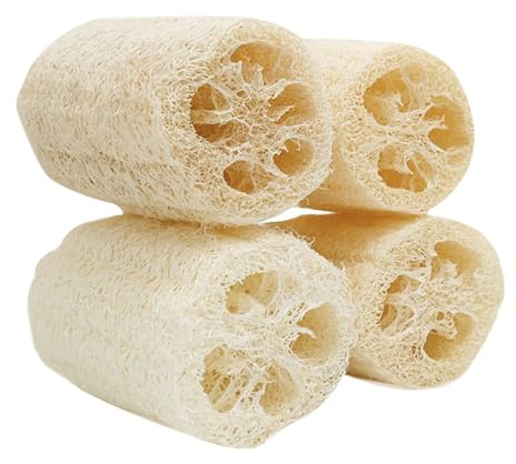 - Giocattolo da masticare – Snack in luffa naturale, 4 pezzi, giocattolo da masticare per criceti, pulizia dei denti, giocattolo per la cura dei denti | Set sicuro per giocare con animali domestici
