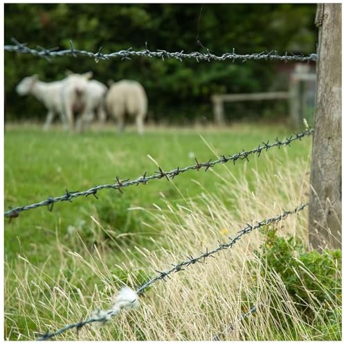 Sxlawesom Stainless Steel 4 Point Barbed Wire, Barbed Wire Fence for Crafts, Fences, Garden, Chain Link Fence(25m)