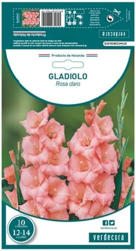 Verdecora Gladiolo Rosa X10 | Bulbos de Floración Elegante | Flores Verticales y Vibrantes | Perfectos para Jardines y Arreglos Florales