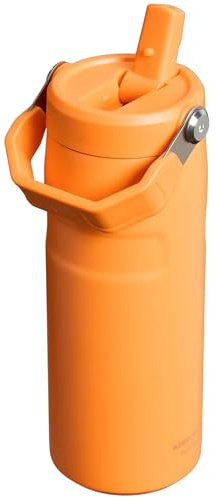 Stanley 1913 Flip Straw Sports Water Bottle 0.47L - Goldenrod Coral | 8 Hours Cold - 40 Hours Iced - BPA-Free - Leak Resistant - Dishwasher Safe - Fits Cup Holder